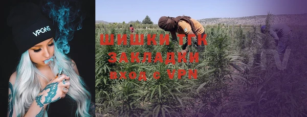 ПСИЛОЦИБИНОВЫЕ ГРИБЫ Балахна